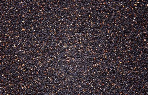 黑芝麻是“滋補(bǔ)圣藥”,養(yǎng)肝腎生黑發(fā)?如此神奇嗎?還是