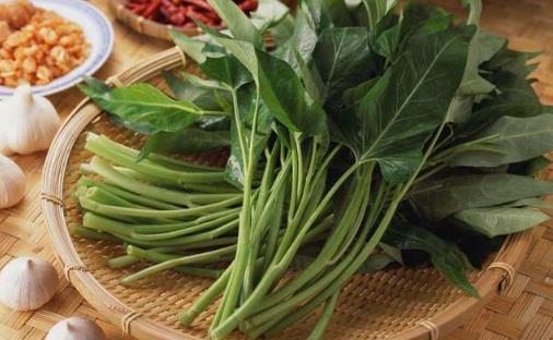 空心菜用油炒過(guò)后顏色發(fā)黑,這是“有毒物質(zhì)”嗎?營(yíng)養(yǎng)師
