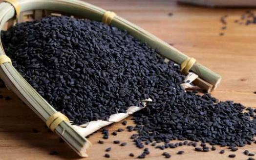 推薦經典養發湯 補腎益精養發烏發