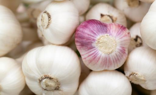 大蒜放久之后腐爛、發芽不能吃，教你一招，讓大蒜3個月不