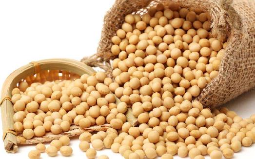 防治去除老人斑試試飲食調(diào)理 吃茄子防治老年斑