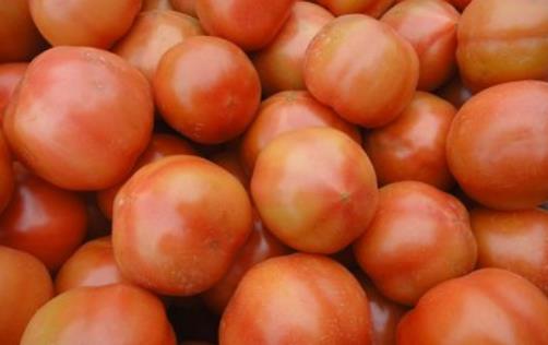 西紅柿到底生吃好還是做菜好?番茄醬等番茄制品也一樣有