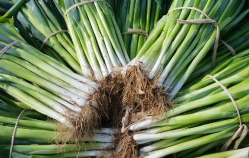 俗話說“常吃蔥、人輕松”，夏季吃蔥都有什么好處？一次