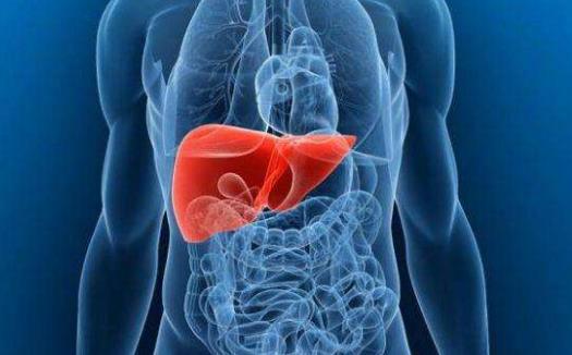 養護肝臟健康 睡前常用四物泡水喝