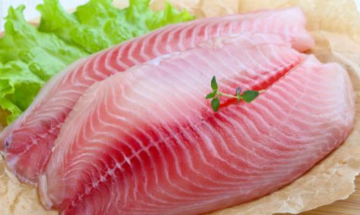 什么魚最有營養 這五大魚類推薦