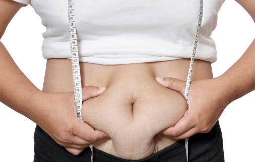 肥胖最傷這五個器官 你都知道嗎