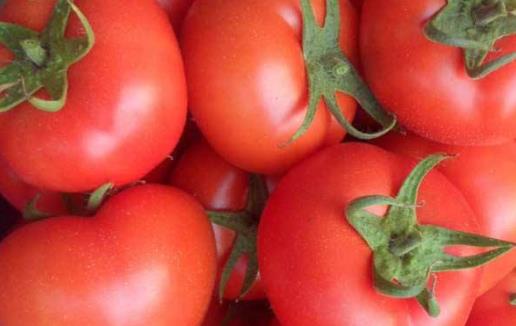 血管是人的生命的通道 養護血管的飲食調理