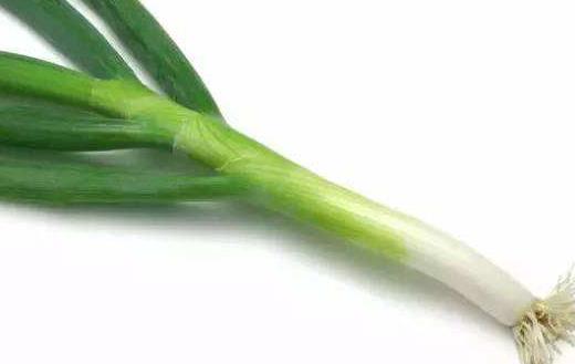 巧治老年人便秘 奶蜜蔥汁適用于老人習慣性便秘