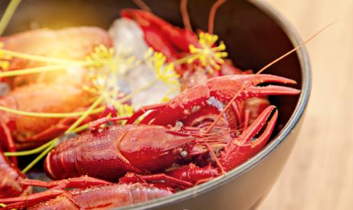  小龍蝦遭遇國家衛(wèi)健委點名！好吃也要注意防病 