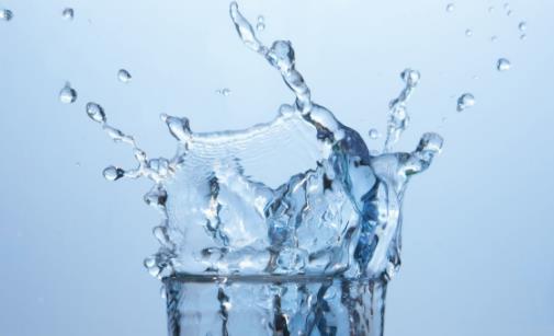 發質不好脫發嚴重 改善發質常食這16種食物