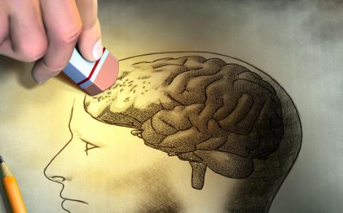 記憶力越來越差 趕緊吃它們補一補