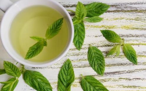 如何保護好嗓子 保護嗓子的幾個小妙招