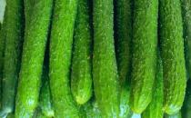 多余的熱量轉換成脂肪 可以被你吃掉脂肪的減肥食譜