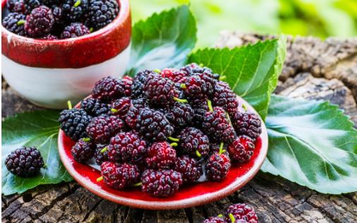 平時喝黑桑葚汁有這些好處 你一定要知道