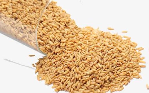 職場男士調理身體的六種方法 男人三餐的健康吃法