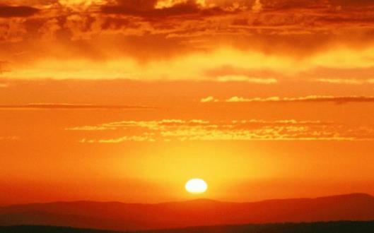 身體最佳養生排毒時間表 掌握時間正確養生