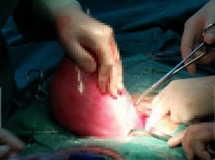 樂山現代婦產醫院好不好？醫生重醫德 獲贊好口碑