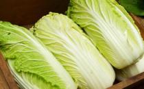 ?挑選大白菜時(shí)菜葉上長(zhǎng)了小黑點(diǎn) 這樣的白菜能不能吃