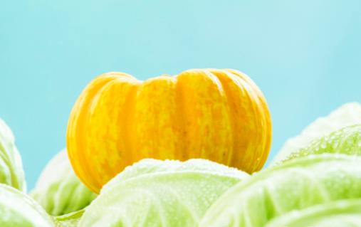 容易長胖的7種早餐 營養(yǎng)的減肥早餐食譜推薦