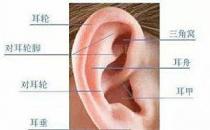 新生兒耳廓畸形能矯正嗎？看成都民生耳鼻喉醫院如何支招