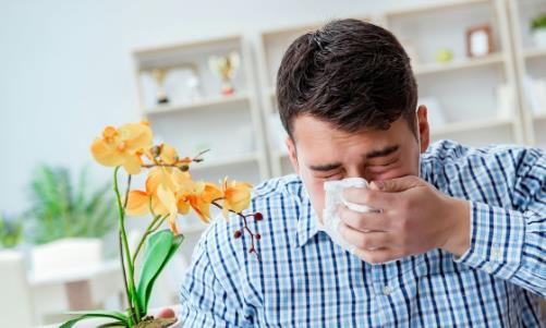 鼻炎的癥狀 10個(gè)小妙招治鼻炎