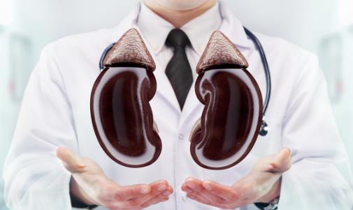 腎功能不好有哪些癥狀 補腎食品助你擺脫疲勞乏力