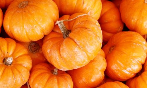 早餐第一口怎么吃才健康 早餐可多吃的食物推薦