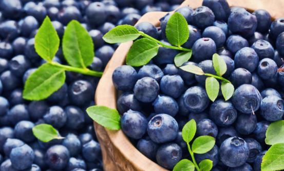 男性健康從飲食與營養談起 最“養”男人的食物