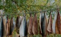 家庭自制魚干的做法 咸魚干最原味的兩種吃法