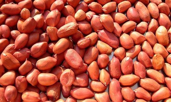 10種堅果營養(yǎng)排行榜 核桃為腦之果護腦標兵