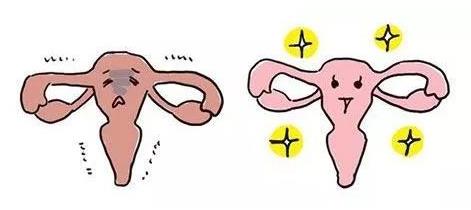 華明基因檢測(cè)預(yù)防衰老，女人保養(yǎng)好卵巢非常重要！