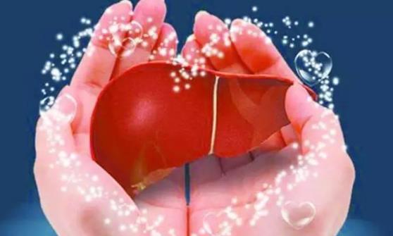 男性最需要去做的就是養肝 選對正確的具有護肝功效的食物