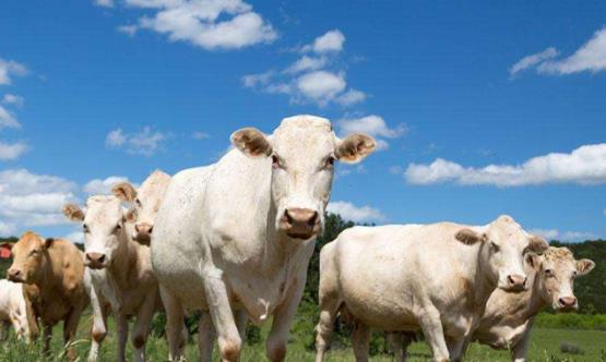 網(wǎng)絡(luò)上引發(fā)熱議的懶漢病真相 預(yù)防防治方法推薦