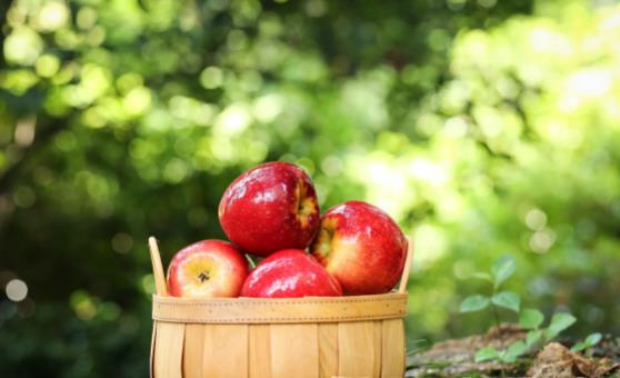 買蘋(píng)果別只看顏色 認(rèn)準(zhǔn)三點(diǎn)保證個(gè)個(gè)好吃口感清脆