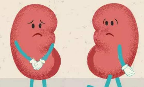 要想腎臟芳華永駐 提倡在沒病時就做好預防