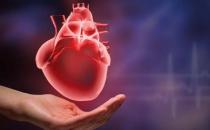 生物鐘對人體都至關重要 應注意保持有序節律