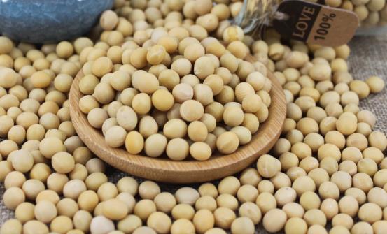 用大豆異黃酮類產品來保養身體 大豆異黃酮對人體的7大作用