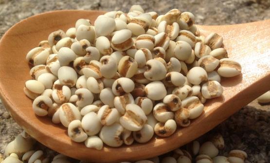 薏米的7點功效與作用 薏米的美味吃法