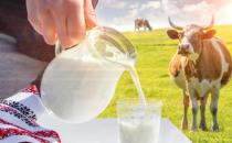 ?老年人常喝牛奶能預(yù)防骨質(zhì)疏松 這幾類老年人不要喝牛奶