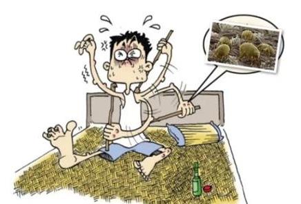 家里有螨蟲危害大 清除塵螨的六個小妙招