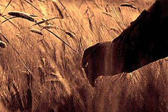 西安普瑞眼科醫院好嗎？春季易發哪些眼病？