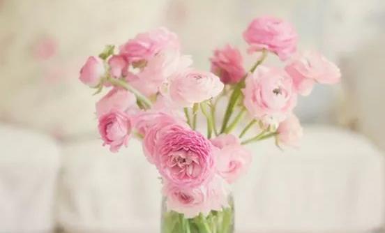 如何讓鮮花長開不敗?