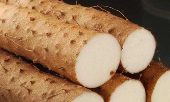 山藥被譽為神仙之食 三種方法巧吃山藥可補腎