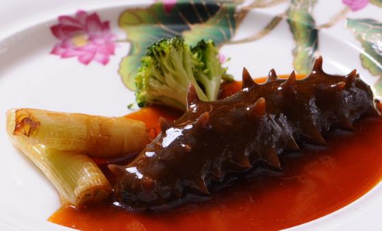 海參能健腦益智長壽 干海參泡發的正確方法