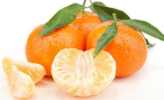 豆腐對(duì)肺熱咳嗽有治療 化痰止咳的食物推薦