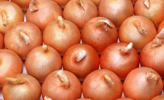 洋蔥中的營養(yǎng)成豐富 四種洋蔥的家常做法 