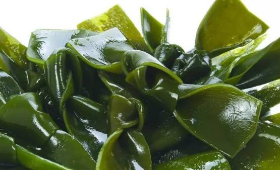 排出體內堆積毒素 簡便易行無副作用