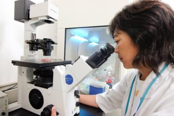 30年融于一粒的日本匠心,日本人每天都補充的芝麻素到底是什么?