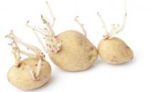 保存土豆不發綠不長牙妙招 普通家庭存放土豆的禁忌