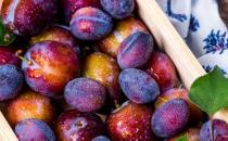 ?西梅的功效與作用 吃西梅注意事項
